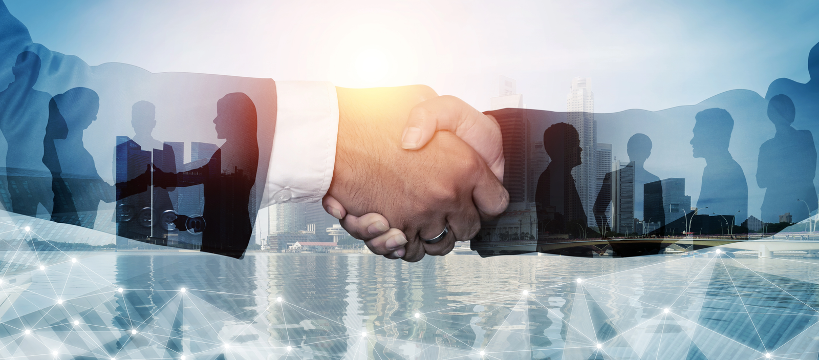 Corporate & Wealth Structuring